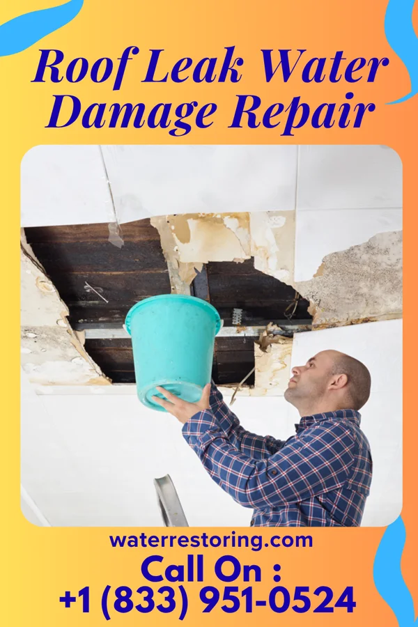 Roof Leak Water Damage Repair in Murphy, MO